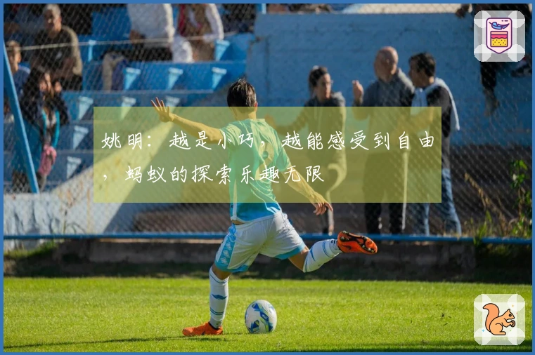 姚明：越是小巧，越能感受到自由，蚂蚁的探索乐趣无限