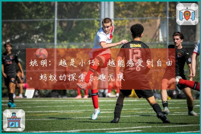 姚明：越是小巧，越能感受到自由，蚂蚁的探索乐趣无限