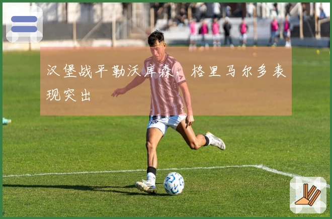 汉堡战平勒沃库森，格里马尔多表现突出